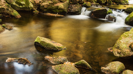 A golden brook in the Sumava Forest. Colorful autumn on Sumava. Bavarian Forest. Czech Republic
