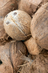 Fresh Organic Coconut Background.