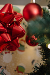 Christmas present by the tree