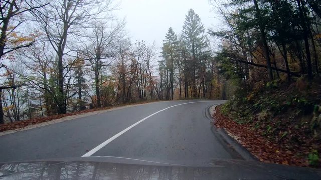 4K. Driving on a road in autumn