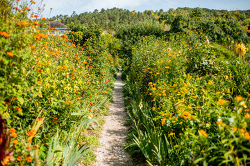 Landscape view on the beautiful Claud Monet's garden, famous french impressionist painter in...