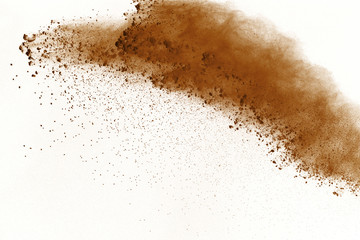 Fototapeta na wymiar Brown powder explosion on white background. Dry soil splatted isolated. Paint Holi.