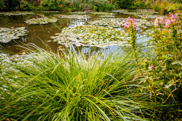 Landscape view on the beautiful Claud Monet's lake with lilies, famous french impressionist painter in Giverny town in France