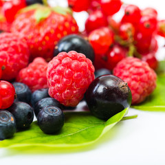 Blueberry, strawberry, raspberry, black and red currant