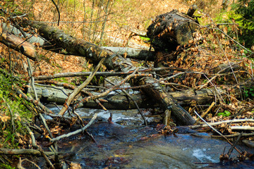 Mountain river. Stones and water.Ukrainian picturesque Carpathians. Mountain trip. Traveling with friends. Landscapes from the top. Trees. Autumn
