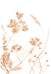 Watercolor fresh kitchen herbs silhouette set in sepia color on white background.