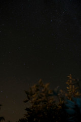 Fototapeta na wymiar Sternenhimmel über dem Darß mit Milchstraße