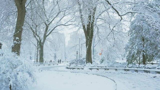 Central Park Poet's Walk in the Snow