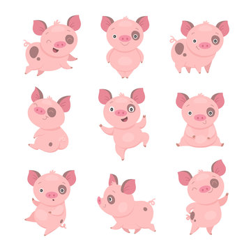 Cute piggy collection. Vector illustration of funny cartoon pink piggy in different poses. Isolated on white.