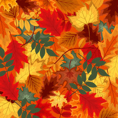 Naklejka na ściany i meble Naturalistic multicolored autumn leaves beautifully laid out on background. Vector Illustration