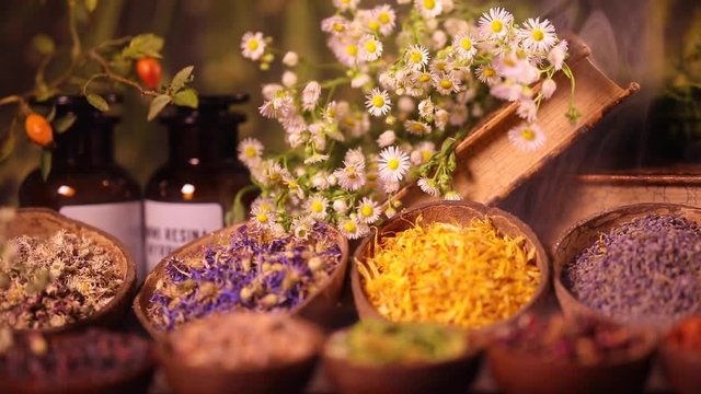 Herbal medicine and book