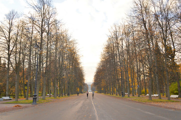 Fototapeta premium Central alley in park at autumn.