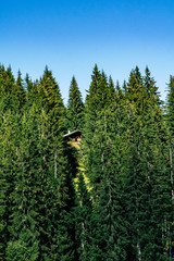 Naklejka premium hut in the mountains