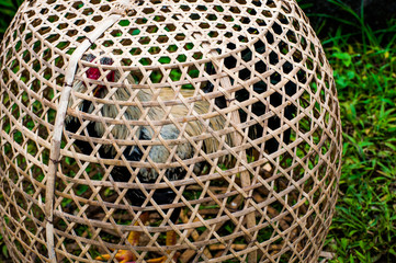 close up of a roster basket