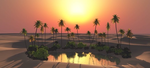 Oasis. Pond in the sandy desert with palm trees at sunset
