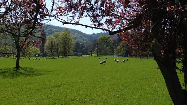 Beautiful parkland in Ilam village, Staffordshire, England, United Kingdom