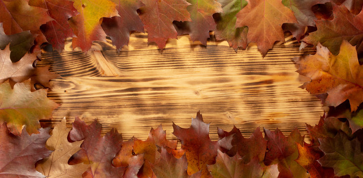 Autumn leaves on wooden table background Frame of autumn