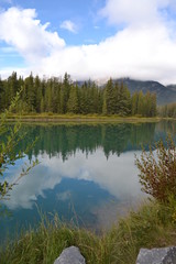 Fototapeta na wymiar water, lake, trees, landscape, reflection, nature.