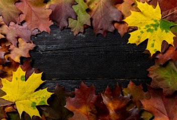 Autumn leaves on wooden table background Frame of autumn