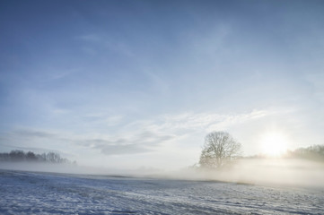 Sunrise and mist over winter nature scenery
