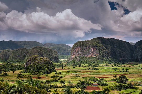Mogotes en forme de d&ocirc;me dans la Vall&eacute;e de Vi&ntilde;ales &agrave; Cuba