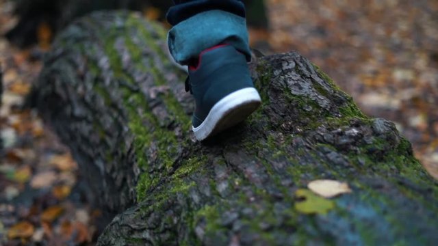 Boy feet step by step walking on fallen tree log in autumn forest and jump - close up slow motion