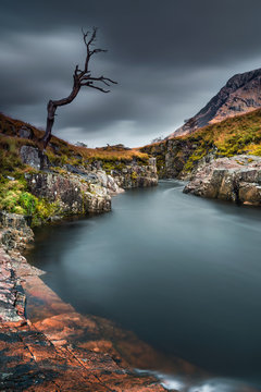 Un arbre mort au de la rivi&egrave;re dans la vall&eacute;e de glencoe