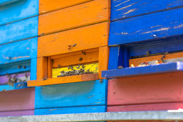 Colorful beehives