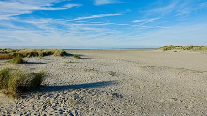 D&uuml;nenlandschaft am Meer in Zeeland, Niederlande
