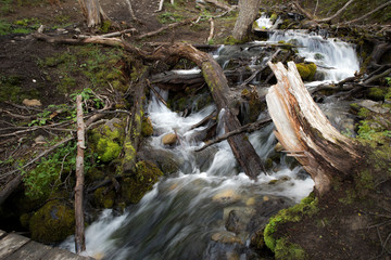Ushuaia creek