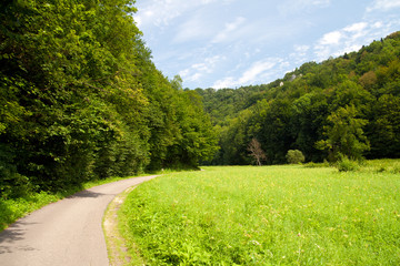 Fototapeta na wymiar Road through Ojców Valley