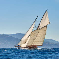 Sailing yacht regatta. Yachting. Sailing