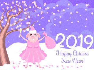 2019 chinese new year