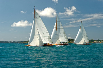 Sailing yacht regatta. Yachting. Sailing