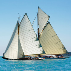 Sailing yacht regatta. Yachting. Sailing