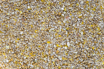 Crushed grains of dried corn and wheat. Livestock feed. Close-up.