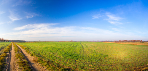 landscape with green field and blue sky