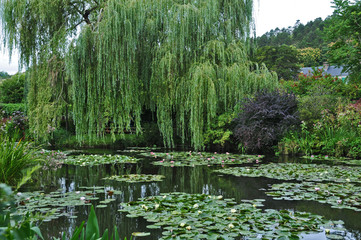 Giverny, il giardino della casa di Monet - Normandia