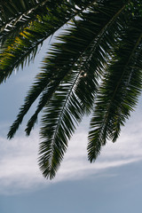 Obraz premium La Coruña