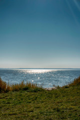 Bodden auf Fischland im Gegenlicht