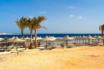 beach with chairs and umbrellas