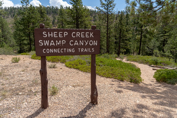 Bryce Canyon National park - trailhead sign for the Sheep Creek Swamp Canyon connecting trail system