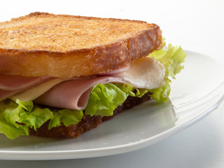 Sandwich de jamón York y queso  con lechuga dentro de un plato , sobre fondo blanco