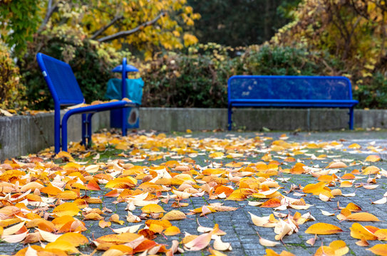 Spielplatz im Herbst