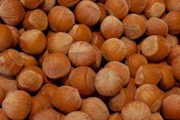 Hazelnut. Fresh organic filbert. Nuts macro. Food background