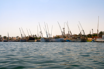 Obraz premium banks of river Nile
