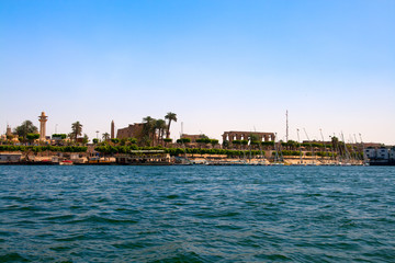 Fototapeta premium banks of river Nile