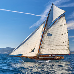Sailing yacht regatta. Yachting. Sailing
