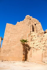 temple of luxor egypt