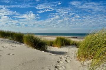 Strand Renesse